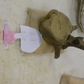 DSCN0989
